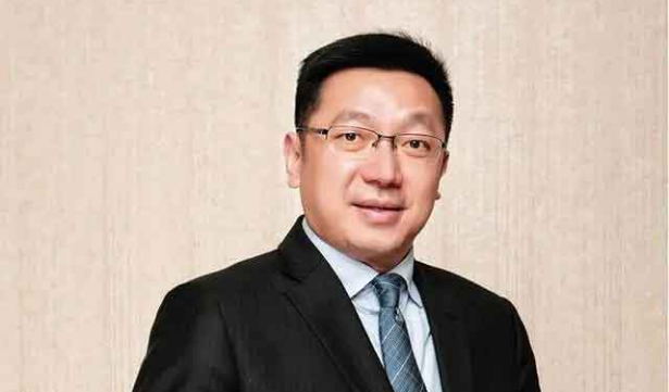 专访中国建材股份执行董事王兵